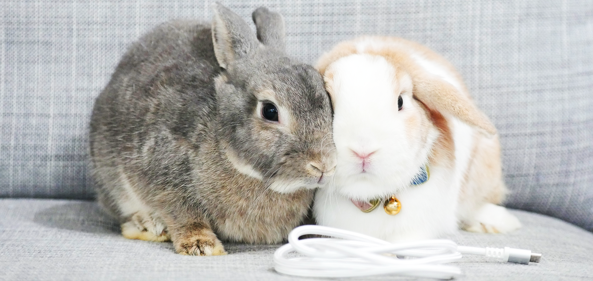 Scratch/Bite-Resistant Charge & Sync Cable