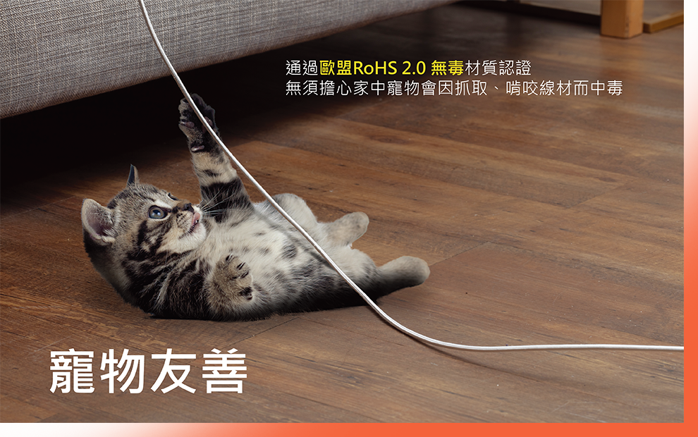 Pet-Friendly Material and Design